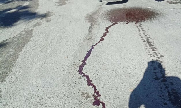 PIP pide investigar el transporte de residuos de animales hacia el vertedero de Ponce