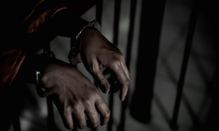 Múltiples arrestos y radicaciones de cargos reflejan la urgencia de atender la crisis en los hogares