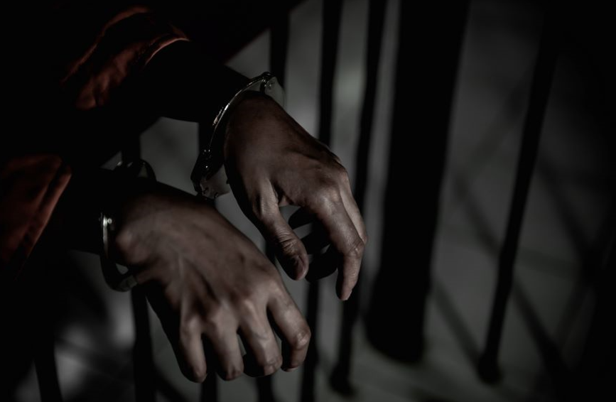 Múltiples arrestos y radicaciones de cargos reflejan la urgencia de atender la crisis en los hogares