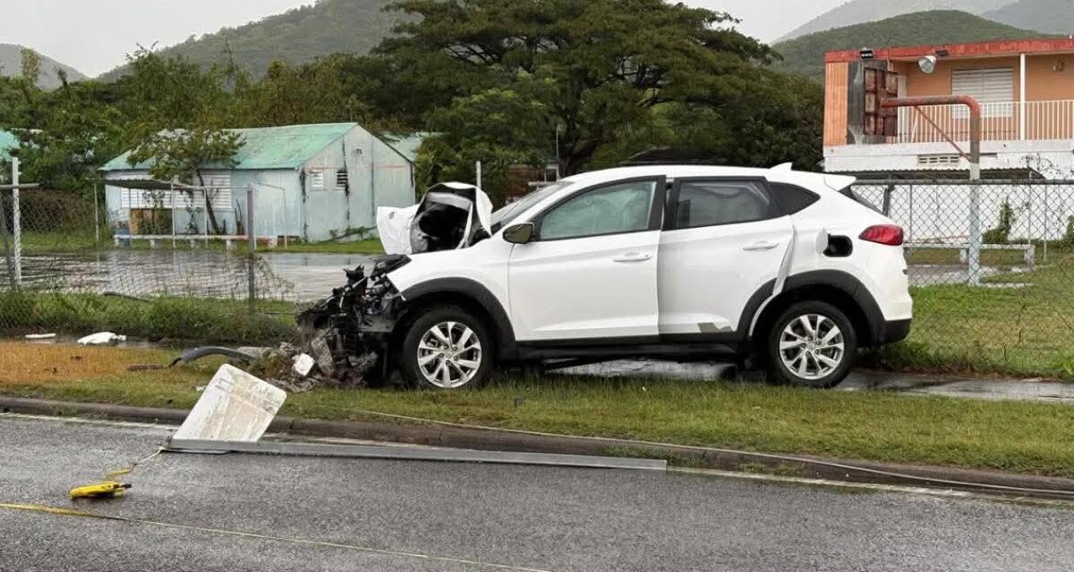 Expolicía pierde la vida tras chocar contra un poste en la PR-54 de Guayama