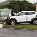 Expolicía pierde la vida tras chocar contra un poste en la PR-54 de Guayama