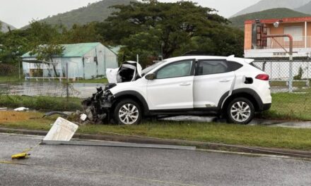 Expolicía pierde la vida tras chocar contra un poste en la PR-54 de Guayama