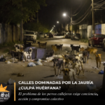 Calles dominadas por la jauría ¿culpa huérfana?