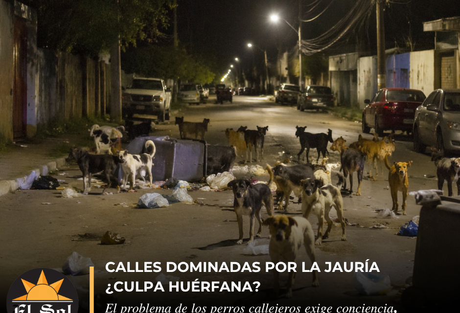 Calles dominadas por la jauría ¿culpa huérfana?