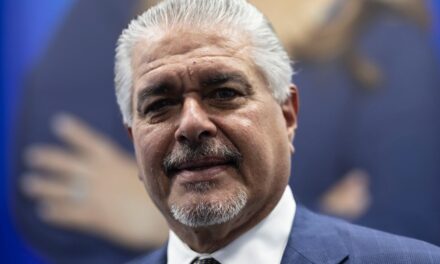 Santini exige cuentas por crisis fiscal en Villalba y presiona a liderazgo del PPD