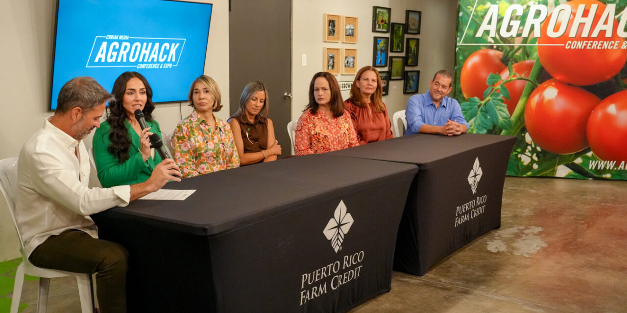 Mujeres agricultoras fortalecen el futuro de la agricultura puertorriqueña