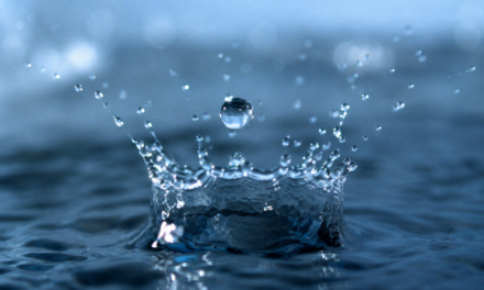 DRNA adjudica cifra récord de 36 permisos de franquicias de agua en una semana