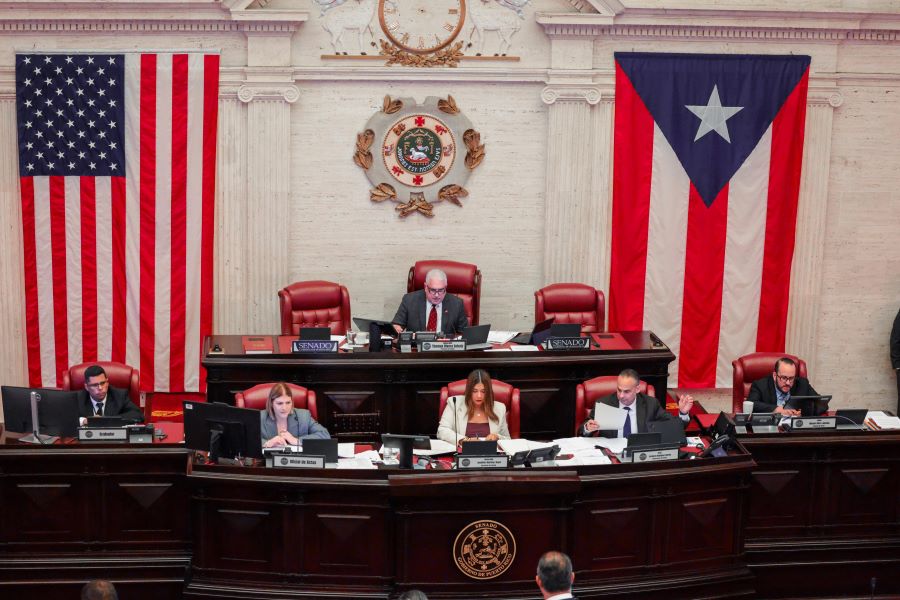 Senado aprueba medida para crear enlace municipal de apoyo a mujeres y víctimas de violencia doméstica