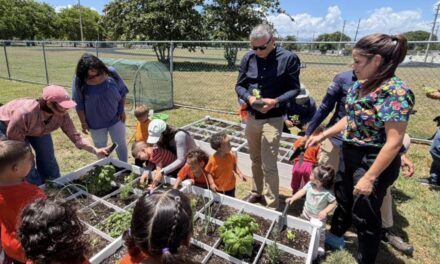 Niños de Guánica ponen “Manitos a la Tierra” en proyecto educativo municipal con Acuden