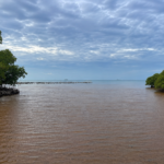 DRNA activa protocolo ante evento significativo de sargazo en Cabo Rojo