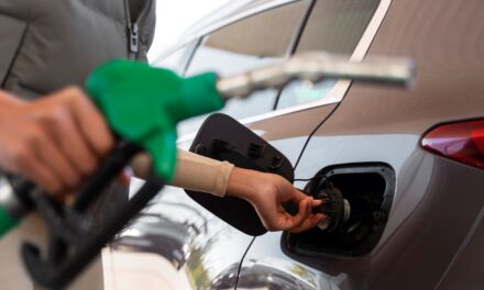 Liderato cameral impulsa pausa al arbitrio en la gasolina
