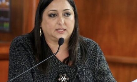 Representante Estrella Martínez solicita reglamento uniforme para negocios ambulantes