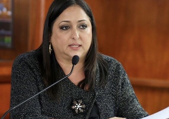 Representante Estrella Martínez solicita reglamento uniforme para negocios ambulantes