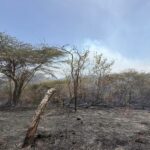 La región suroeste revive el fantasma de la sequía