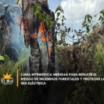 LUMA intensifica medidas para reducir el riesgo de incendios forestales y proteger la red eléctrica