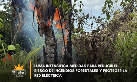 LUMA intensifica medidas para reducir el riesgo de incendios forestales y proteger la red eléctrica