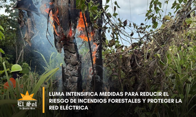 LUMA intensifica medidas para reducir el riesgo de incendios forestales y proteger la red eléctrica