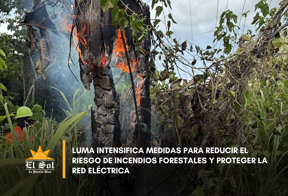 LUMA intensifica medidas para reducir el riesgo de incendios forestales y proteger la red eléctrica