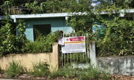 Municipio de Juana Díaz busca frenar el avance de los estorbos públicos
