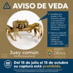 Se acaba el tiempo para capturar jueyes