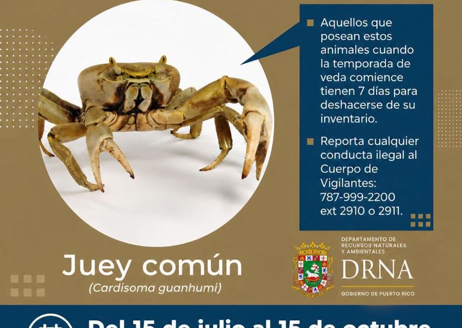 Se acaba el tiempo para capturar jueyes