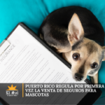 Puerto Rico regula por primera vez la venta de seguros para mascotas