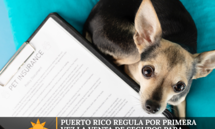 Puerto Rico regula por primera vez la venta de seguros para mascotas