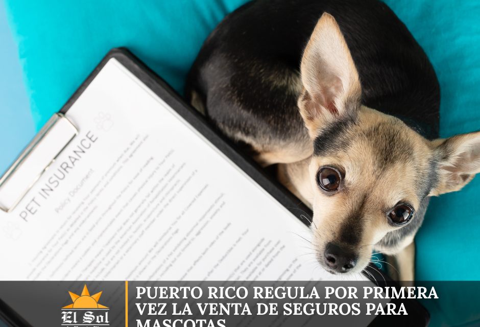 Puerto Rico regula por primera vez la venta de seguros para mascotas