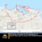 Declaran emergencia fitosanitaria en Puerto Rico por la mosca del Mediterráneo