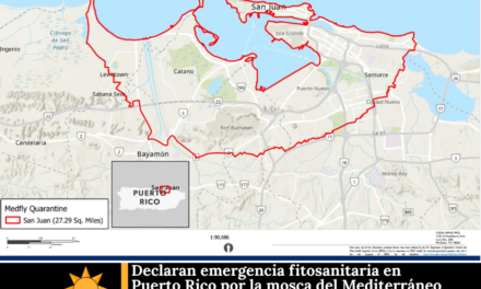 Declaran emergencia fitosanitaria en Puerto Rico por la mosca del Mediterráneo