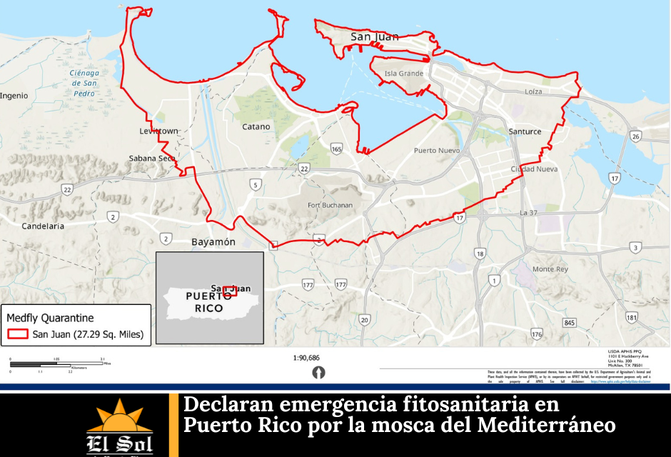 Declaran emergencia fitosanitaria en Puerto Rico por la mosca del Mediterráneo