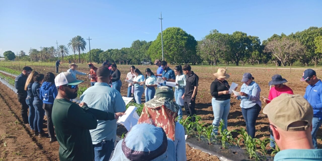 Clínica de Diagnóstico de Plantas de la EEA de Juana Díaz obtiene acreditación del NPDN