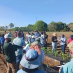 Clínica de Diagnóstico de Plantas de la EEA de Juana Díaz obtiene acreditación del NPDN