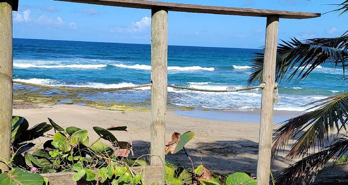 Identifican a hombre que murió ahogado en playa de Arecibo