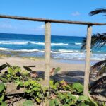Identifican a hombre que murió ahogado en playa de Arecibo