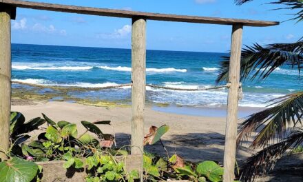 Identifican a hombre que murió ahogado en playa de Arecibo
