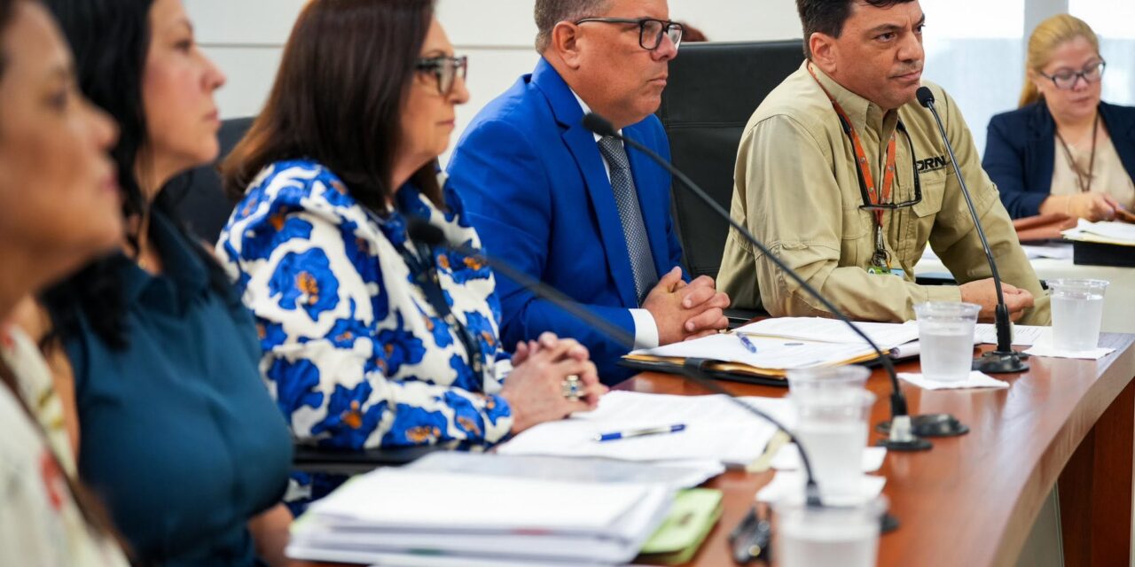 Señalan a funcionario del DRNA por alegadamente inducir a error al Senado sobre expansión del vertedero de Carolina