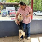 Cayey responde a video sobre supuesto maltrato a perro que recorre el centro urbano