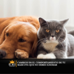 Cambios en el comportamiento de tu mascota que no debes ignorar