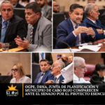 OGPe, DRNA, Junta de Planificación y Municipio de Cabo Rojo comparecen ante el Senado por el Proyecto Esencia