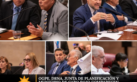 OGPe, DRNA, Junta de Planificación y Municipio de Cabo Rojo comparecen ante el Senado por el Proyecto Esencia