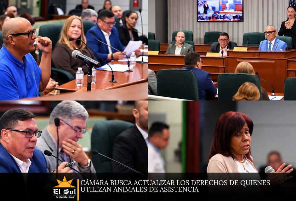 Cámara busca actualizar los derechos de quienes utilizan animales de asistencia