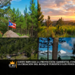Cayey impulsa la protección ambiental con la creación del Bosque Turístico Los Pinos