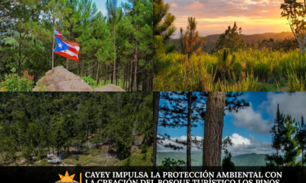Cayey impulsa la protección ambiental con la creación del Bosque Turístico Los Pinos