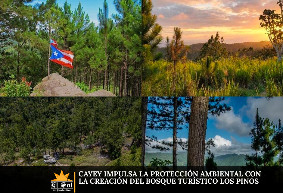 Cayey impulsa la protección ambiental con la creación del Bosque Turístico Los Pinos