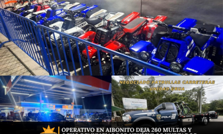 Operativo en Aibonito deja 260 multas y ocho denuncias por vehículos hurtados