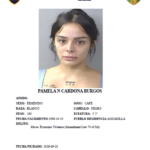 Arrestan en Aguadilla a mujer que enfrentaba cargos por Ley 54