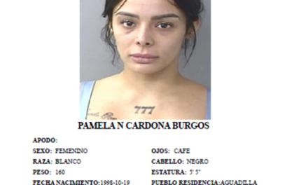Arrestan en Aguadilla a mujer que enfrentaba cargos por Ley 54