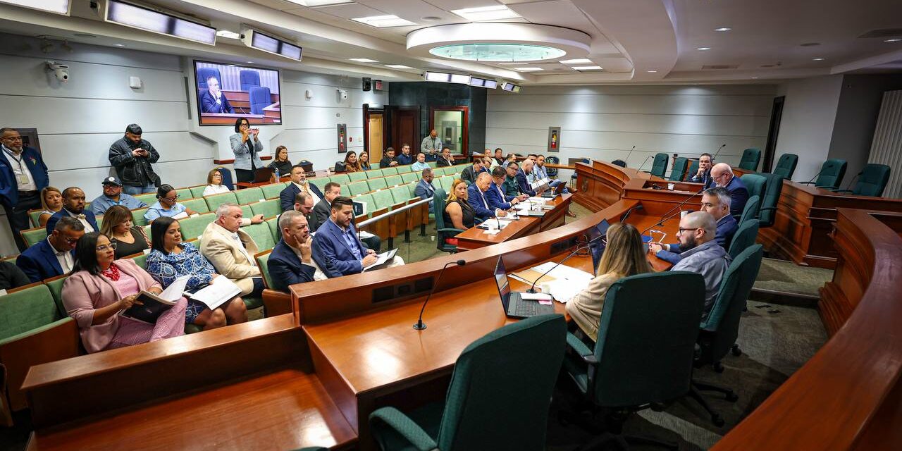 Cámara denuncia trabas de LUMA para que municipios reparen el alumbrado público