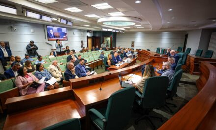 Cámara denuncia trabas de LUMA para que municipios reparen el alumbrado público